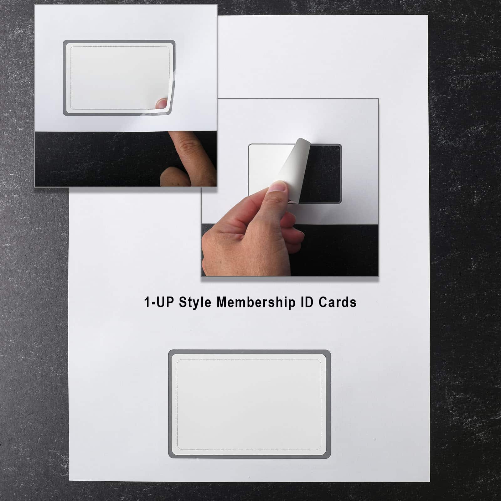 1-up Blank Laser Printable Membership Cards
