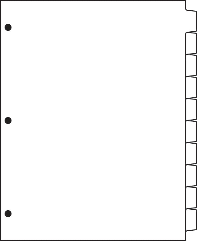 DocuCopy 199830421 Paper Copier Tabs, Copy Tabs - Made to Order