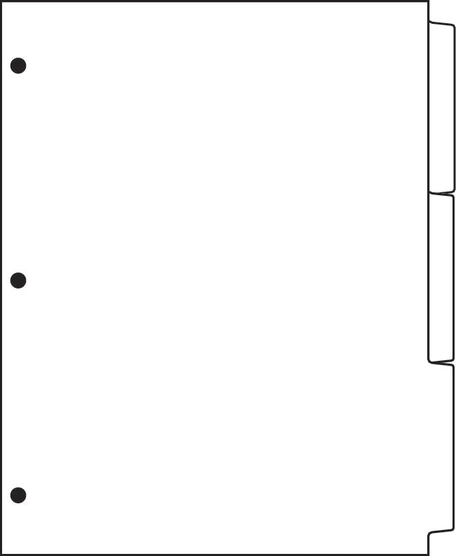 DocuCopy 3226 Clear Trilar Copier Tabs, Copy Tabs - Made to Order