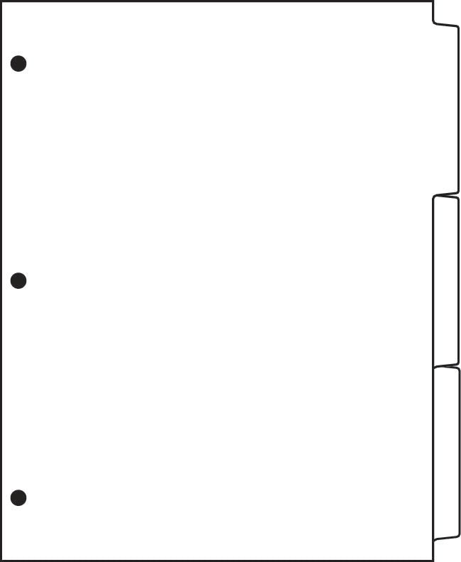 DocuCopy 199800839 Paper Copier Tabs, Copy Tabs - Made to Order