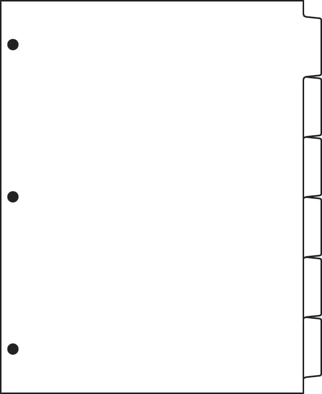 DocuCopy 199830212 Paper Copier Tabs, Copy Tabs - Made to Order