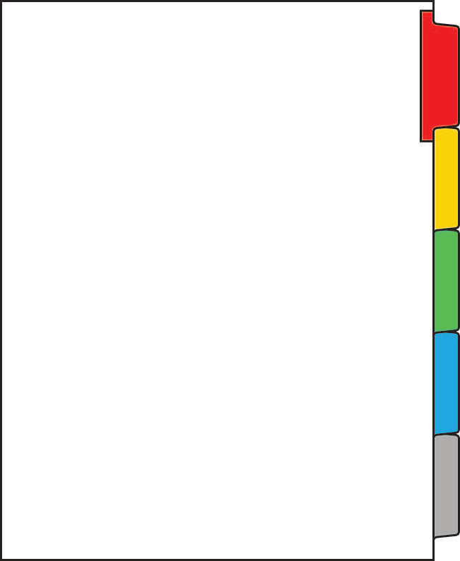 DocuCopy 199829126 Multi-Color Trilar Copier Tabs, Copy Tabs