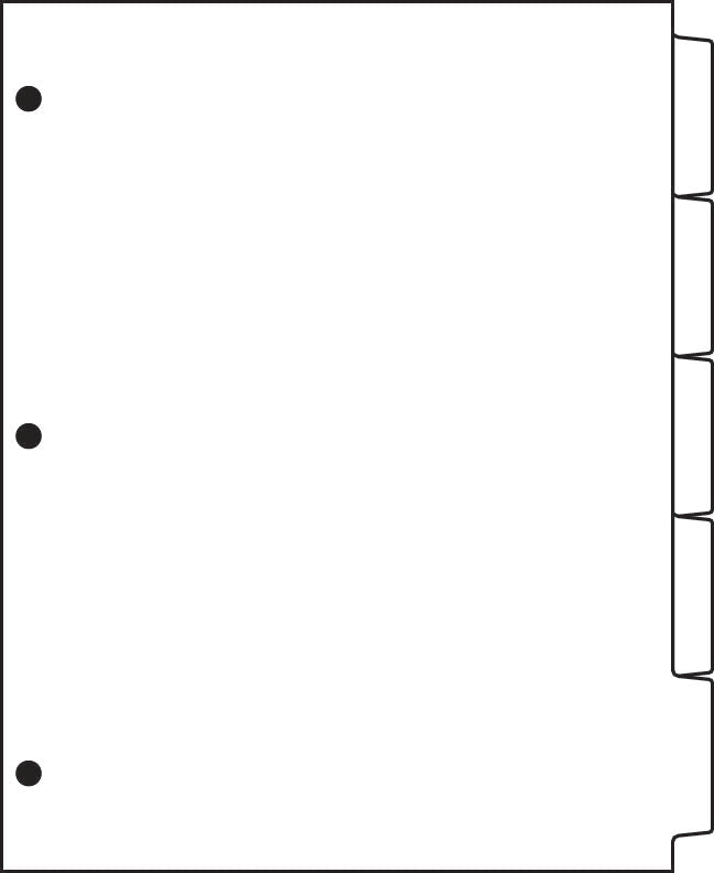DocuCopy 3203 Clear Trilar Copier Tabs