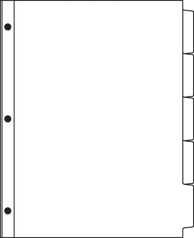 DocuCopy 4203 Clear Trilar Copier Tabs
