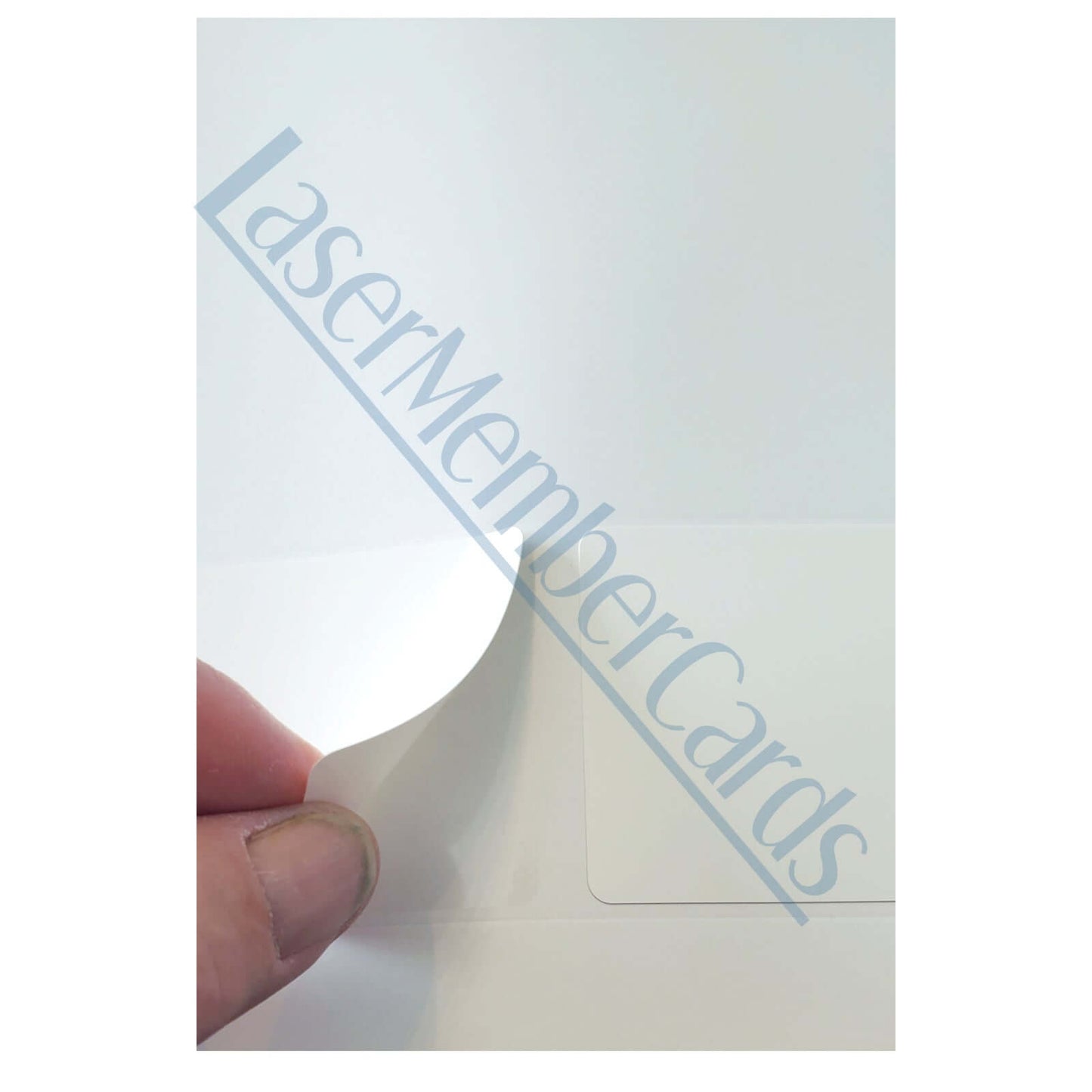 2-Up Plastic Affixed Laser Membership ID Card